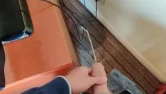Jouer Faire revivre une vieille planche d'hôtel avec de la pisse sur un tapis