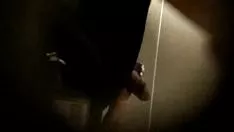 Reproducir Digest peeping tom inodoros espi-meson