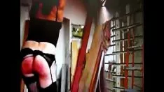Reproducir Pansy y superar a sam 8772.mp4