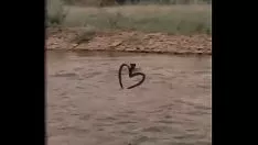Odtwórz Nagranie wideo z uzasadnieniem