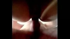 Laetiti monkeya grempie significativo