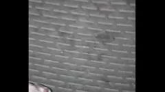 Reproducir Compilación de pajas y corridas de estrella porno adolescente